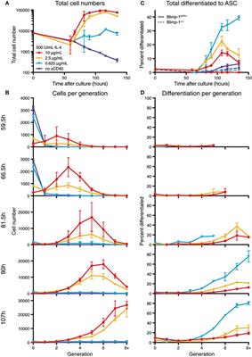 Stochastically Timed Competition Between Division and Differentiation Fates Regulates the Transition From B Lymphoblast to Plasma Cell